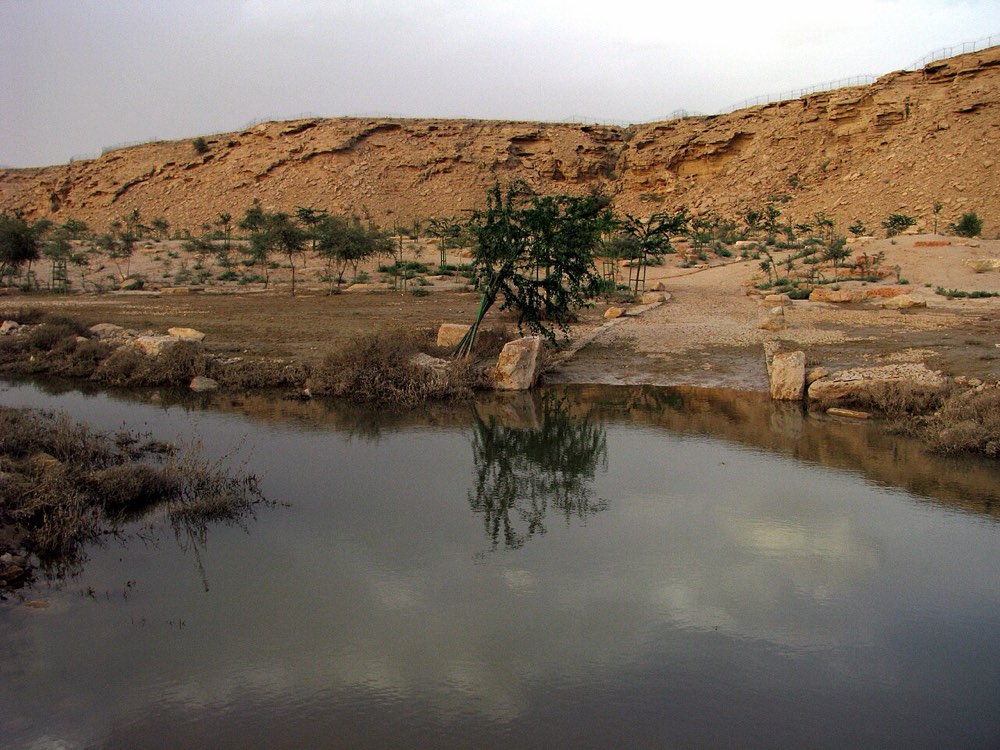 Wadi Hanifah